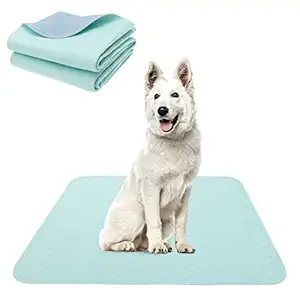 KOOLTAIL Washable Pee Pads for Dogs Puppy Training Pad (2 Pack, 36