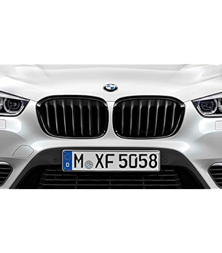 Griglia Anteriore Doppia Lamella Per BMW Serie 2 F45/F46 (2014-2018) - Nero Lucido, In ABS, Sostituzione Diretta