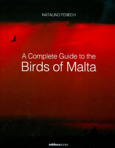 Read A Complete Guide To Birds Of Malta Pdf Callistusukmi