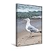 Produktbild Premium Textil-Leinwand 30 cm x 45 cm hoch, Silbermöwe | Wandbild, Bild auf Keilrahmen, Fertigbild auf echter Leinwand, Leinwanddruck (CALVENDO Natur)