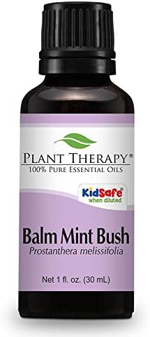 Balm Mint Bush Essential Oil 30 mL Essential Oil 100% Pure, Undiluted