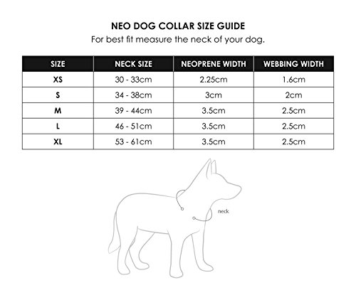 EzyDog-Neo-Classic-Dog-Collar-Top-Quality-Durable-Reflective-Easy-Clean-Comfy-Green-Camo