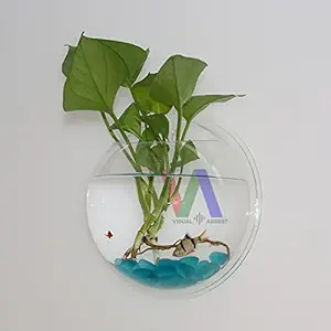 VISUAL ARREST Acrylic Wall Hanging Aquarium Tank for Betta Small Fish Plants - 12 Inch
