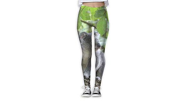 koala leggings amazon