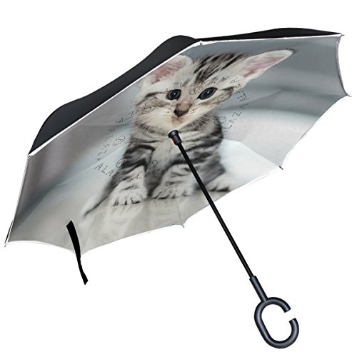 Preisvergleich Produktbild ALAZA American Kurzhaar Katze Kätzchen seitenverkehrt Regenschirm Double Layer Winddicht Rückseite Regenschirm