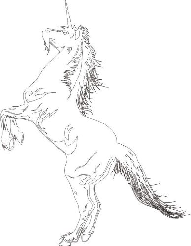 INDIGOS 4051095054719 Wandtattoo w614 Einhorn Pferd Tier fabelwesen 120 x 66 cm Wandaufkleber in 3 Größen, weiß