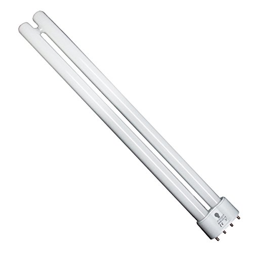 Daylight Company D13627 Tube fluorescent 24 W à économie d'énergie Tube Blanc