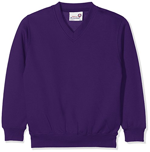 AWDisBoy's Kids Academy V-Neck Sweatshirt School Top