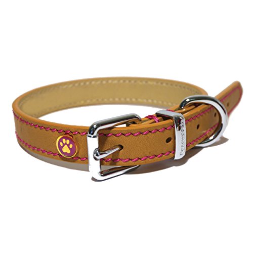 Rosewood dog collar Clearance