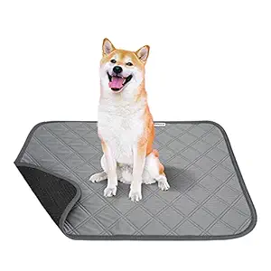 Avont 2 Pack Reusable Puppy Pee Pad, Highly Absorbent Senior Dogs Incontinence Bed Pads with Waterproof Bottom, Non Slip Dog Training Whelping Pads, Washable Cats Guinea Pig Food Feeding Mat -Small