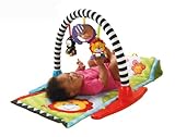 Primera infancia Fisher-Price - Gimnasio mantita estímulos y Juego (Mattel L7347)