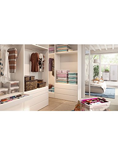 Aufbewahrungsboxen Set – 2 Stück 2 Liter Boxen mit Deckel für Süßwaren, Vorräte und vielem mehr – Motiv ABC - 2