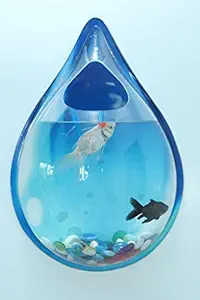 CIOS Acrylic Wall Mounted Fish Bowl (12