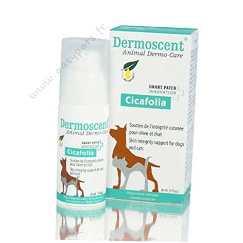 Perro Cicafolia / cat