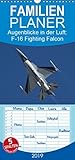  Augenblicke in der Luft: F-16 Fighting Falcon - Familienplaner hoch (Wandkalender 2019 , 21 cm x 45 cm, hoch): Bilder der F-16 Fighting Falcon von ... 14 Seiten ) (CALVENDO Technologie)