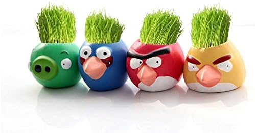 Grass Head Angry Birds