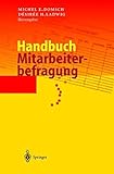 Handbuch Mitarbeiterbefragung by