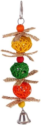 Paradise Spin and Chew Bird Toy