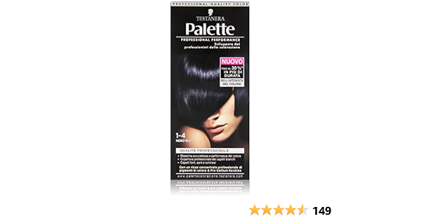 Testanera Palette Crema Colorante, 1-4 Nero/Blu - 115 ml : Amazon.it:  Bellezza