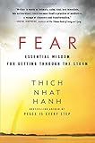 Fear: Essential Wisdom for Getting Through the Storm by 