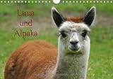 Lama und Alpaka (Wandkalender 2014 DIN A4 quer): Neuweltkamele aus Südamerika (Monatskalender, 14 Seiten) by