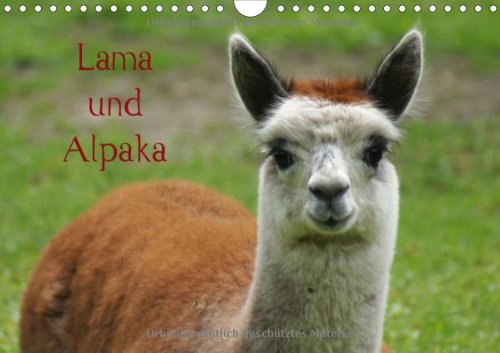 Lama und Alpaka (Wandkalender 2014 DIN A4 quer): Neuweltkamele aus Südamerika (Monatskalender, 14 Seiten)