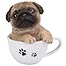 Produktbild Vivid Arts tp-pugg-f Mops Welpe in Tee Cup - Mehrfarbig