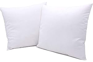 LARA MORADA Set 2 Pezzi Coppia Anima Imbottitura ANALLERGICA per Cuscini da Rivestire per Divano, Living, Poltrona E Letto 75x75