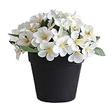 Material: Kunststoff + Stoff TLfyajJSimulation Topfpflanzen K¨¹nstliche Blumen Bonsai Hochzeit Desktop Dekoration - Wei?