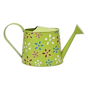 CINAGRO - Hand Painted Galvanised Metal Watering Can, Durable (2.5 litres) - Green Color