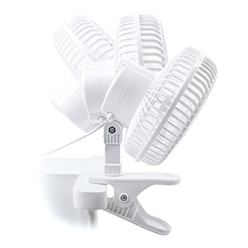 Pro Breeze Mini-Ventilator zum Anklipsen, 15 cm Durchmesser, für Zuhause, Büro und Schreibtisch, 2 Geschwindigkeitsstufen - 5