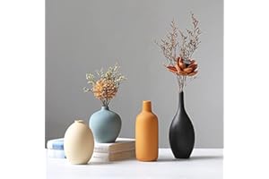 QBMYCN Juego de 4 jarrones de cerámica, jarrones de cerámica para decoración del hogar, floreros Decorativos para Hierba de Pampa y Flores secas, Mesa, estantería (Beige,Azul,Naranja,Negro)
