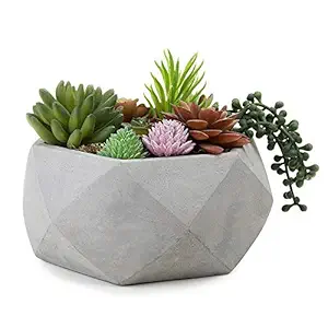 oddpod REGOLO Raw Concrete Planter - Single