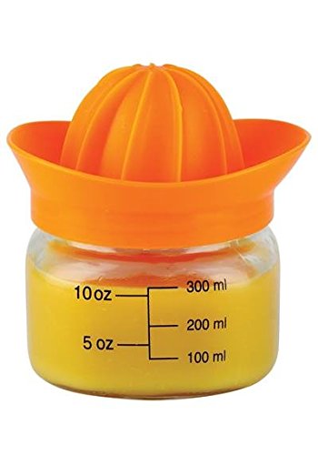 Preisvergleich Produktbild Mason Juicer - Entsafter mit Glas