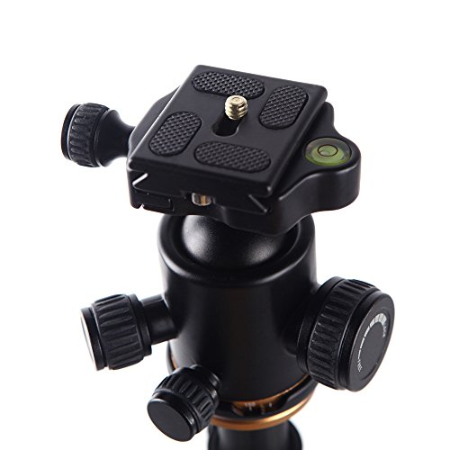 Andoer Q666C Pro - Trípode de fibra de carbón profesional para cámara SLR (con rótula cambiable portátil)