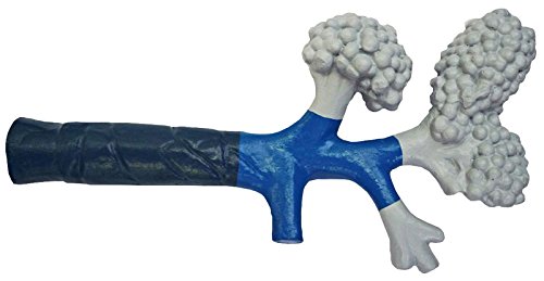 Preisvergleich Produktbild Bronchiole G430