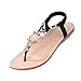 Footful Women Summer Bohemia Flat Sandals Beach Thong Shoes Black 36 RS.550.00