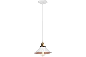 PETITES ECREVISSES Lampadario a sospensione Vintage industriale, Moderno Lampada da soffitto E27 Plafoniera in Metallo Ø22cm Grigio Paralume per Sala Cucina Camera da Letto (Bianco - 1 lampada)