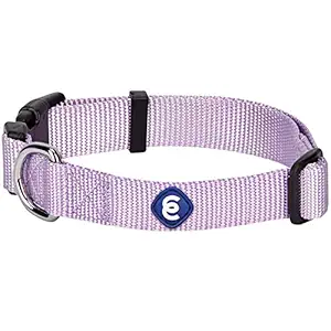 Blueberry Pet 32 Colors Classic Dog Collar, Lavender, Medium, Neck 14.5