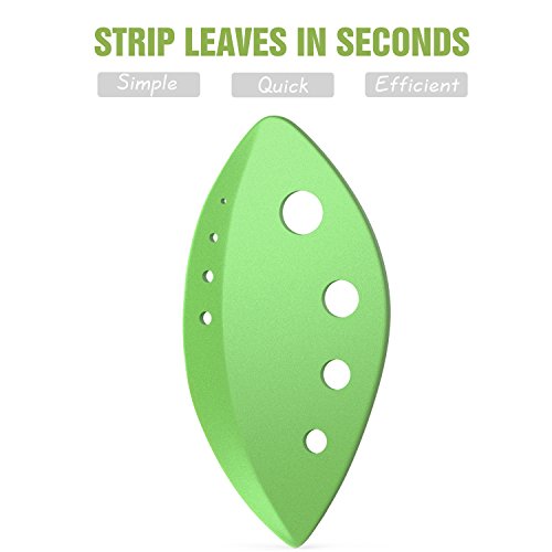 Nuovoware Kräuterentferner Blatt Stripper, [2 Stücken] Kohl, Zuckerrüben, Grünkohl und Kraut Scheider mit verschiedenen Größen Löcher und Plastik Schermesser, Beste Gemüse Küchenhelfer, Grün - 2