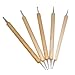 TRIXES Nail Art Brushes 20pcs Nail Art Design Painting Detailing Brush & Dotting Bundle Kit with Black Case