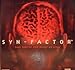 Produktbild SYN - Factor -Zwei Gehirne sind besser als eines - (Windows 3.1 / 95)