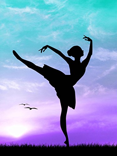 Wee Blue Coo Photo Mock Up Silhouette Sunset Ballet Dancer Art Print Poster Wall Decor 12X16 Inch