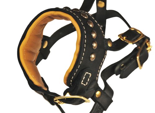 Dean-Tyler-Apollo-64-Leather-Padded-Muzzle-BlackTan