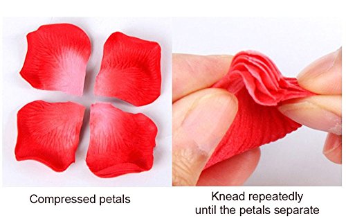 iLoveCos Künstliche Blumen Rosenblätter Rosenblüten Farbe Hochzeit Party 2000 Stück (rot) - 3