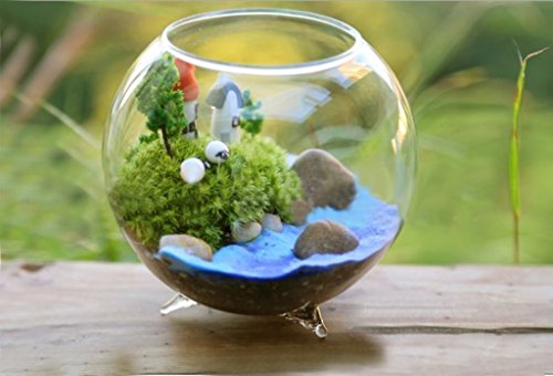 Generic Glas Hydroponischen mini Vase Kugel Mikro Landschaft DIY Flasche Terrarien Fisch Behälter 8cm - 5
