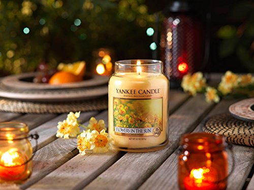 Yankee Candle 1351652E Flowers in the Sun Duftkerze, Glas, gelb, 17,5 x 9,5 x 17,5 cm - 2