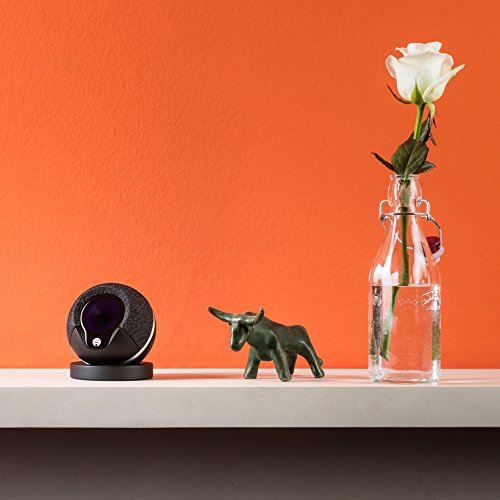 Cocoon HD All-In-One Indoor Home Security Camera With Advanced Multi-Room Protection System, ALEXA Compatible, in Black - Image 9