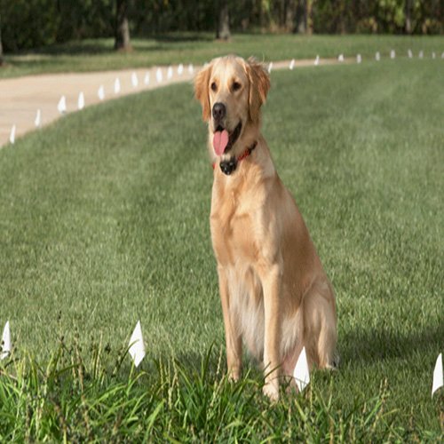 Pet-Fencing-System-Smart-Dog-Underground-Fence-InGround-Dog-Fence-Collar-Dog-Training-Collar-with-300M-Wire-Cable