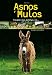Asnos y Mulos - Victor Siméon